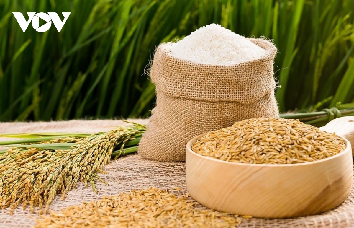 Vietnamese rice export price now highest in world market